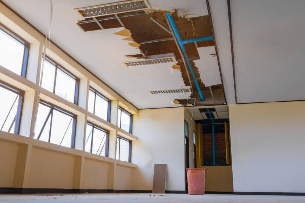 Best Water damage restoration near me  in Wesley Hills, NY