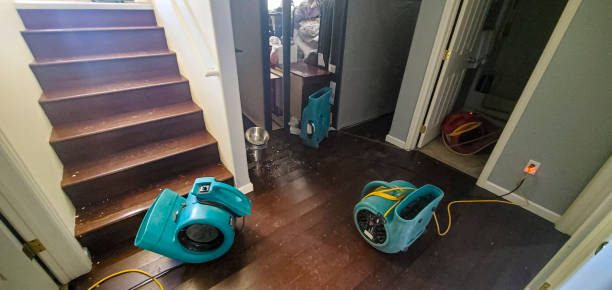 Best Basement water damage restoration  in Wesley Hills, NY