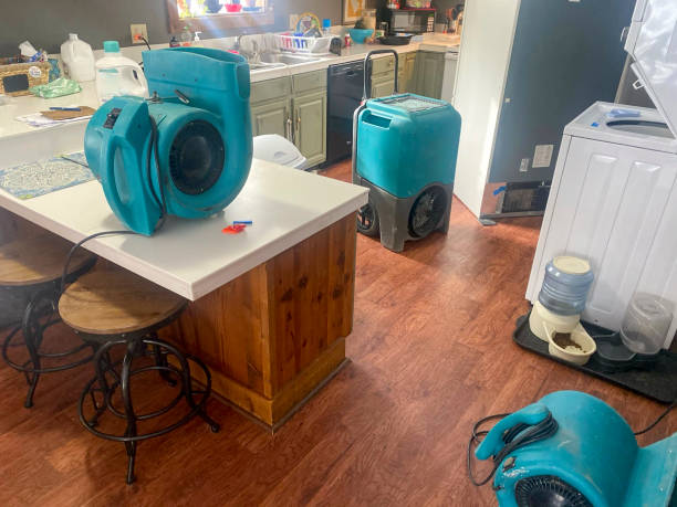 Best Mold removal after water damage  in Wesley Hills, NY
