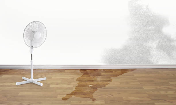 Sewage cleanup and water damage restoration in Wesley Hills, NY