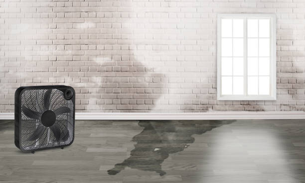 Best Emergency water damage restoration  in Wesley Hills, NY