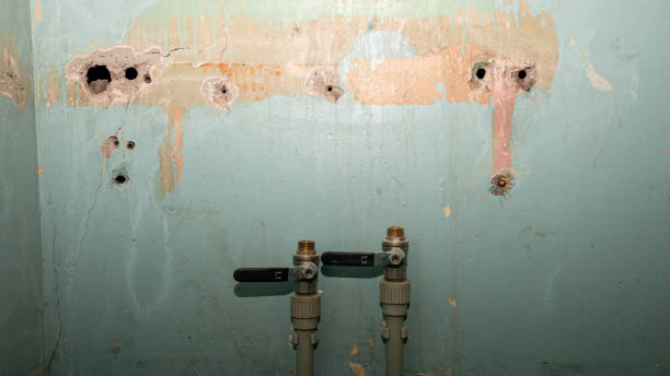 Best Flood restoration services  in Wesley Hills, NY