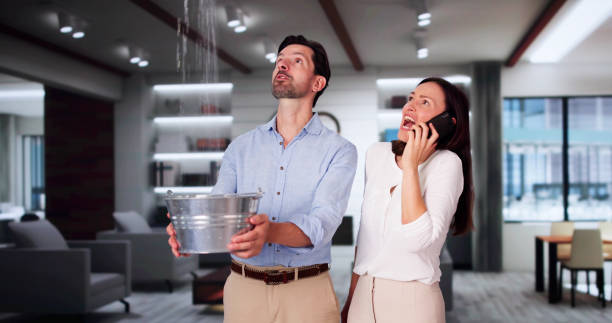 Best Flood damage cleanup  in Wesley Hills, NY